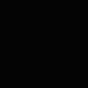 Meet your Posher, Griffin